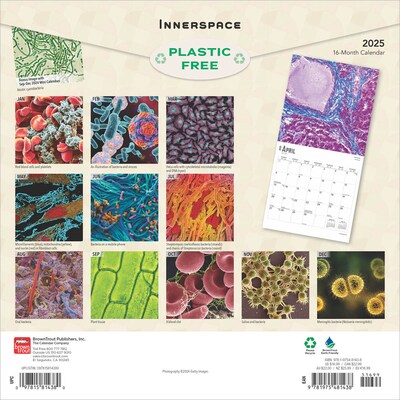 2025 BrownTrout Innerspace 12 x 12 Monthly Square Wall Calendar (9781975481438)