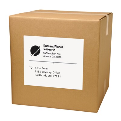 Avery Copier Shipping Labels, 8-1/2 x 11, White, 100 Labels/Box (5353)