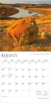 2026 BrownTrout North Dakota Wild & Scenic 12" x 12" Monthly Wall Calendar (9798330704927)