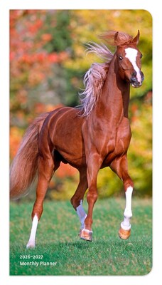 2026-2027 BrownTrout Horse Lovers 3.5 x 6.5 Monthly Planner (9798330703715)