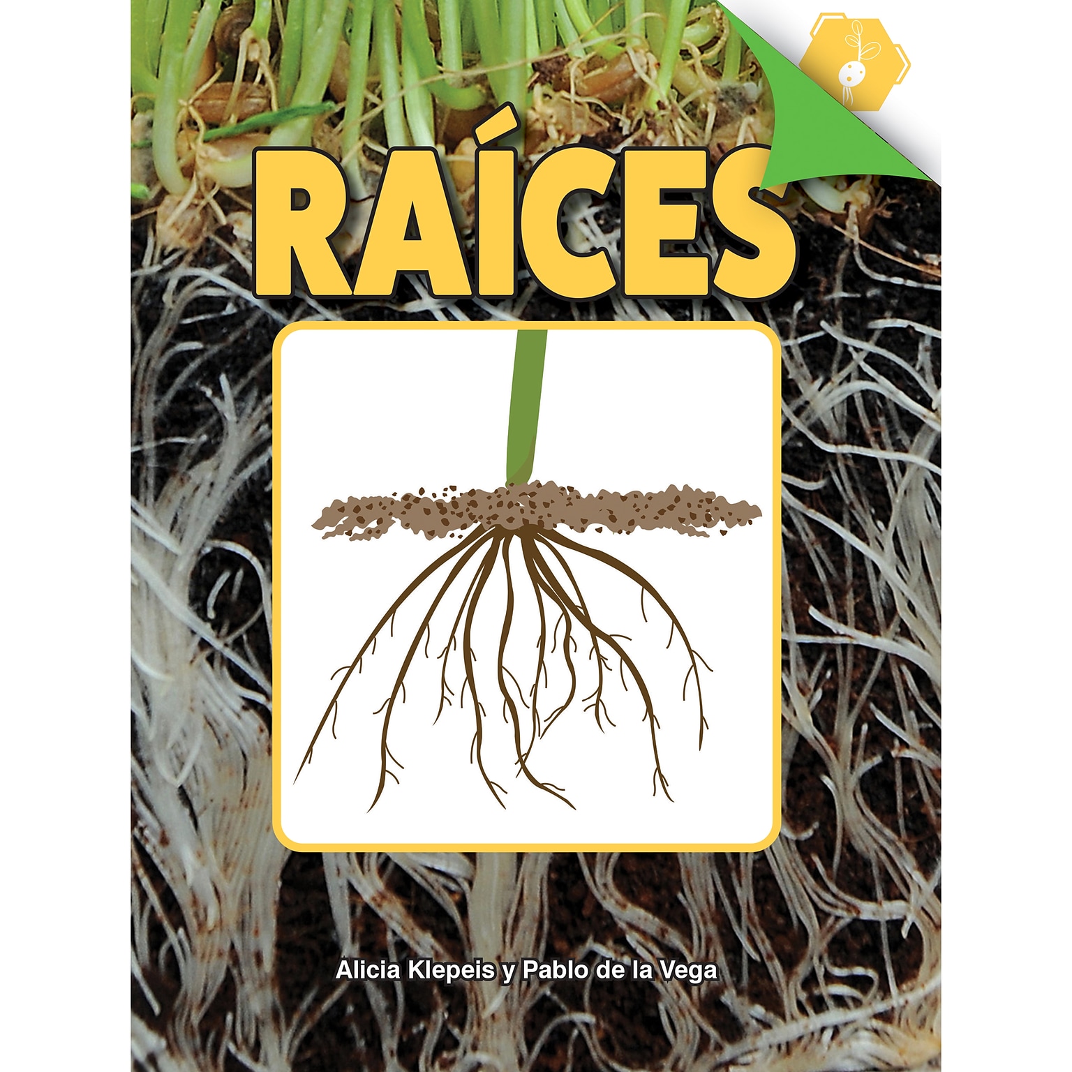 Carson-Dellosa Discovery Library Raíces Book, Hardcover (CD-9781731654472)