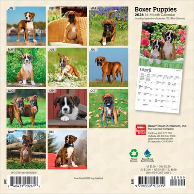 2026 BrownTrout Boxer Puppies 7 x 7 Monthly Wall Calendar (9798330702619)