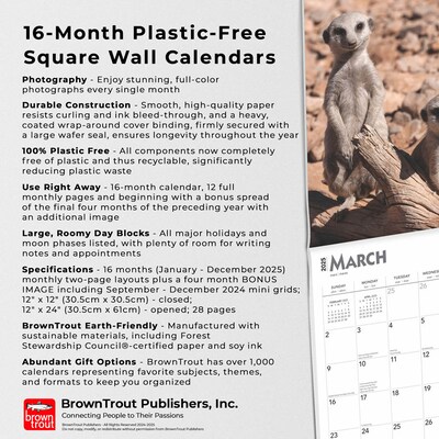 2025 BrownTrout Meerkats 12" x 12" Monthly Square Wall Calendar (9781975475215)
