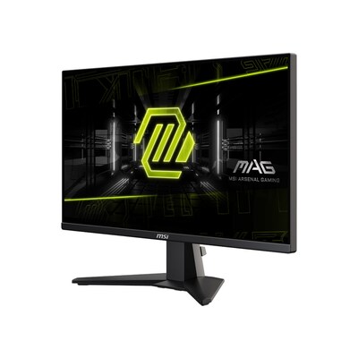 MSI MAG Series 24.5" FHD 200Hz LED Adaptive-Sync Gaming Monitor, HDR10, Metallic Black (MAG255FE20)