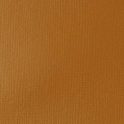 Liquitex BASICS Acrylic Paint Tube, Raw Sienna, 250 mL (LIQ4385330)