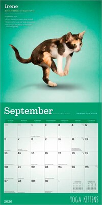 2026 Plato Yoga Kittens 12" x 12" Monthly Wall Calendar (9798330701964)