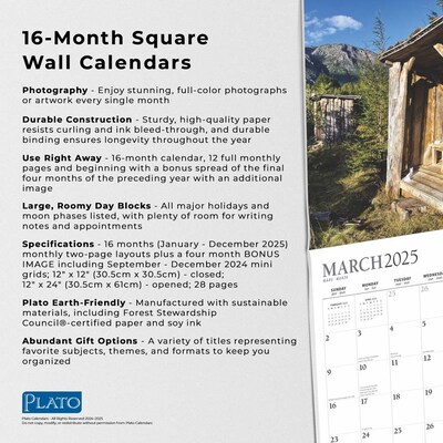 2025 Plato Outhouses 12" x 12" Monthly Wall Calendar (9781975478773)
