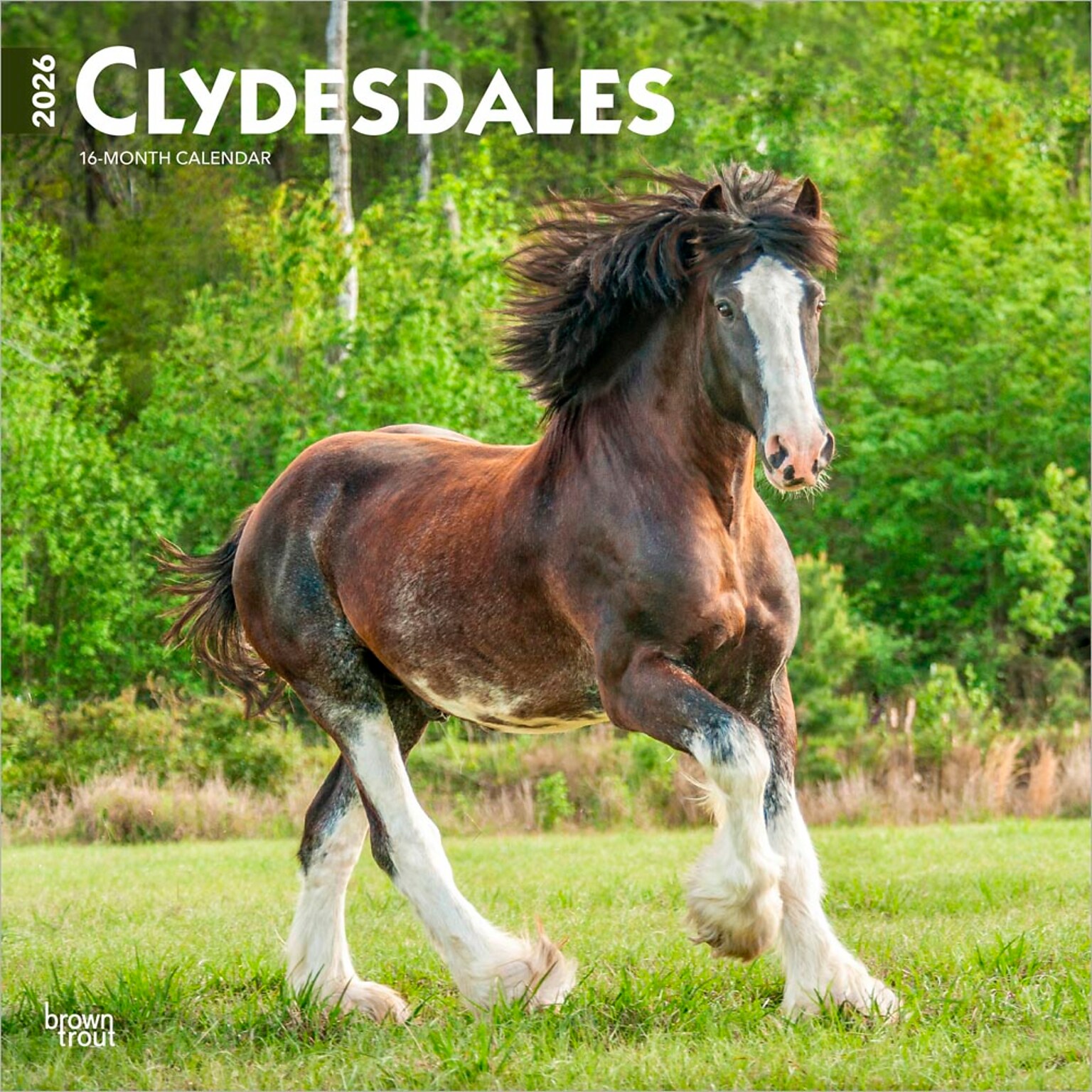 2026 BrownTrout Clydesdales 12 x 12 Monthly Wall Calendar (9798330702954)