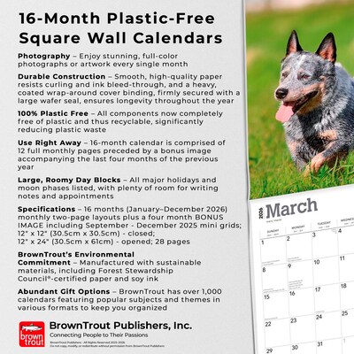 2026 BrownTrout Blue Heelers 12" x 12" Monthly Wall Calendar (9798330702527)