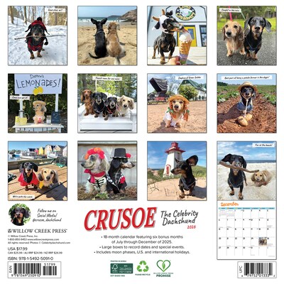 2026 Willow Creek Crusoe the Celebrity Dachshund 12 x 12 Monthly Wall Calendar (50910)