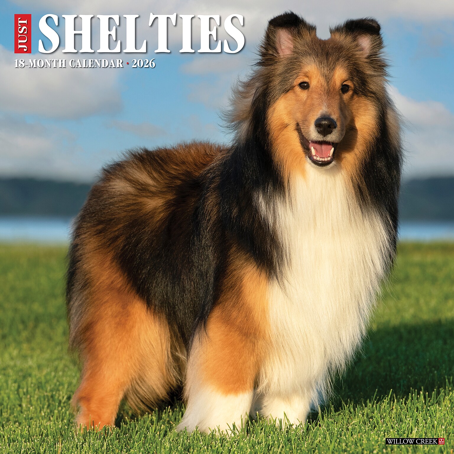 2026 Willow Creek Shelties 12 x 12 Monthly Wall Calendar (52761)
