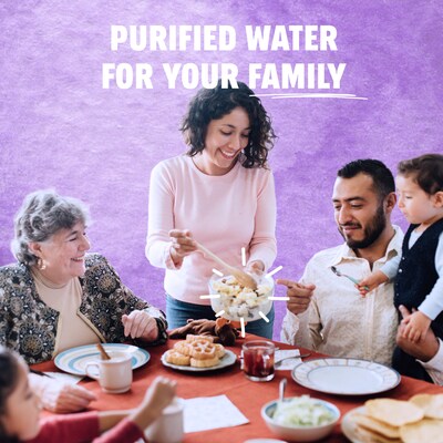 Pure Life Purified Water, 20 oz., 24/Carton (12255068)