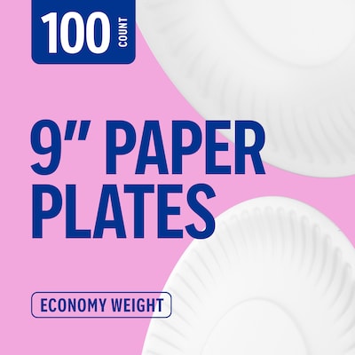 Perk 9 Inch Disposable Paper Plates, 100 Count Economy Plates for Everyday Use