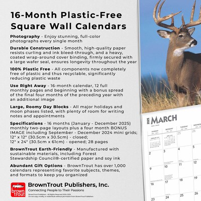 2025 BrownTrout White Tailed Deer 12" x 12" Monthly  Wall Calendar (9781975477998)