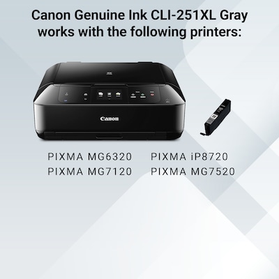 Canon 251XL Gray High Yield Ink Cartridge  (6452B001)
