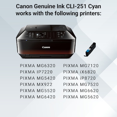 Canon 251 Cyan Standard Yield Ink Cartridge (6514B001)