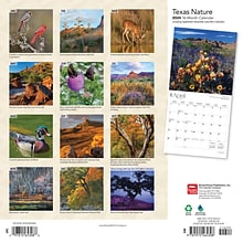 2024 BrownTrout Texas Nature 12 x 24 Monthly Wall Calendar (9781975465308)