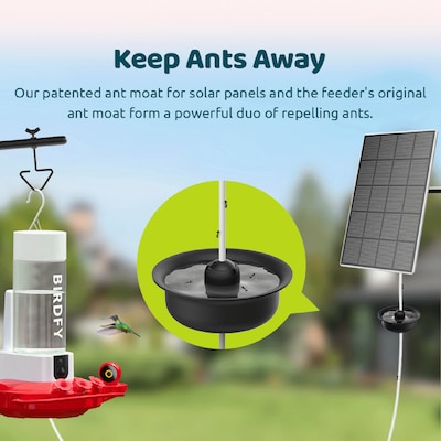Birdfy Smart Hummingbird Feeder Duo with 2 Cameras, Solar Panel and Free AI Lifetime Subscription, Red (EPPAMBNI8501110)