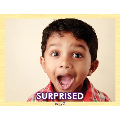 Mojo Range of Emotions Puzzle Set, 8/Set (MJ-345407)