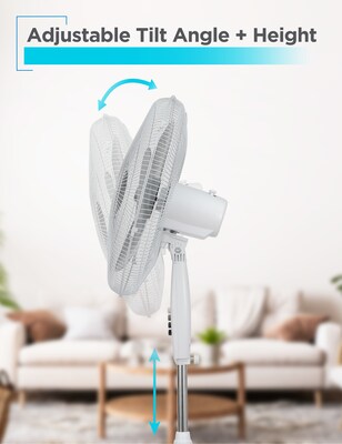 Black & Decker 18” Oscillating Pedestal Fan, 3-Speed, White (BFP18SXW)
