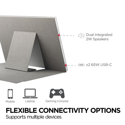 ViewSonic 16" 60Hz LED Monitor, Black (TD1656-2K)