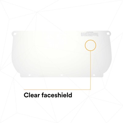 3M WP98 Reusable Face Shield Headgear, Fog Resistant, Clear, 10/Carton (247-82543-00000)