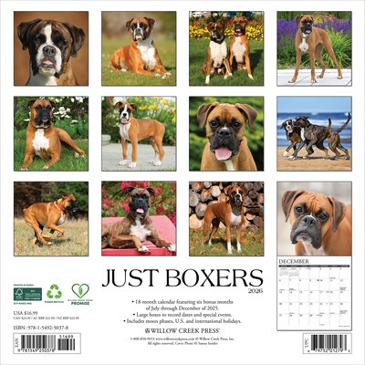 2026 Willow Creek Boxers 12 x 12 Monthly Wall Calendar (50378)