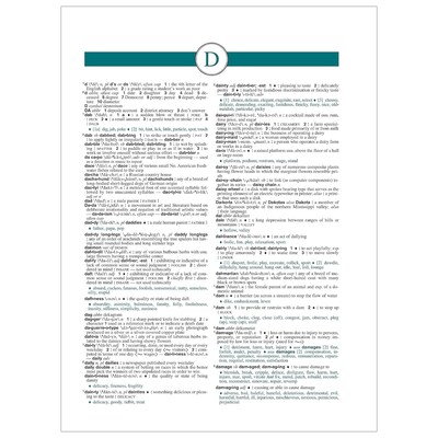 Federal Street Press Webster's All-in-One Dictionary & Thesaurus, Third Edition (FSP9781596951846)