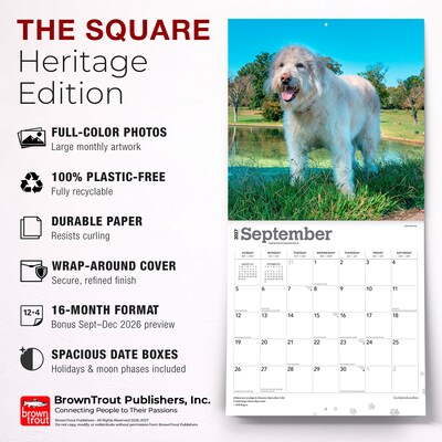 2027 BrownTrout Goldendoodles 12" x 12" Monthly Wall Calendar (9798330712489)