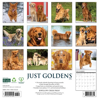 2026 Willow Creek Goldens 12 x 12 Monthly Wall Calendar (51320)