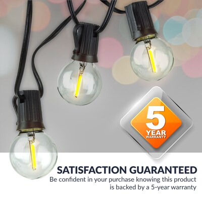 Newhouse Lighting Globe Party LED String Lights, 50 ft., Black (PSTRINGLED50)