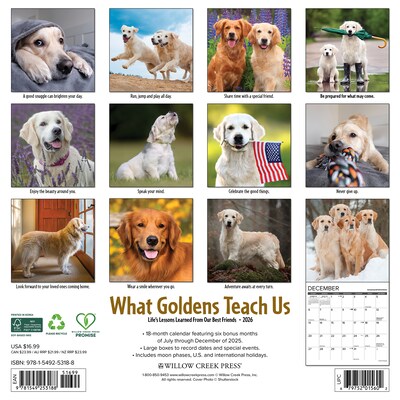 2026 Willow Creek What Goldens Teach Us 12 x 12 Monthly Wall Calendar (53188)