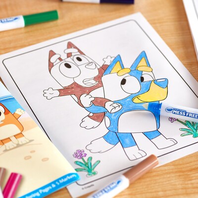 Crayola Color Wonder: Bluey Coloring Book, 18 Pages, 2 Sets/Bundle (BIN752805-2)
