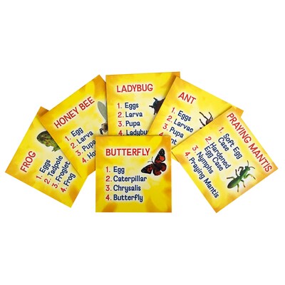 Insect Lore Life Cycle Figurines Set, 24 Pieces (ILP2205)