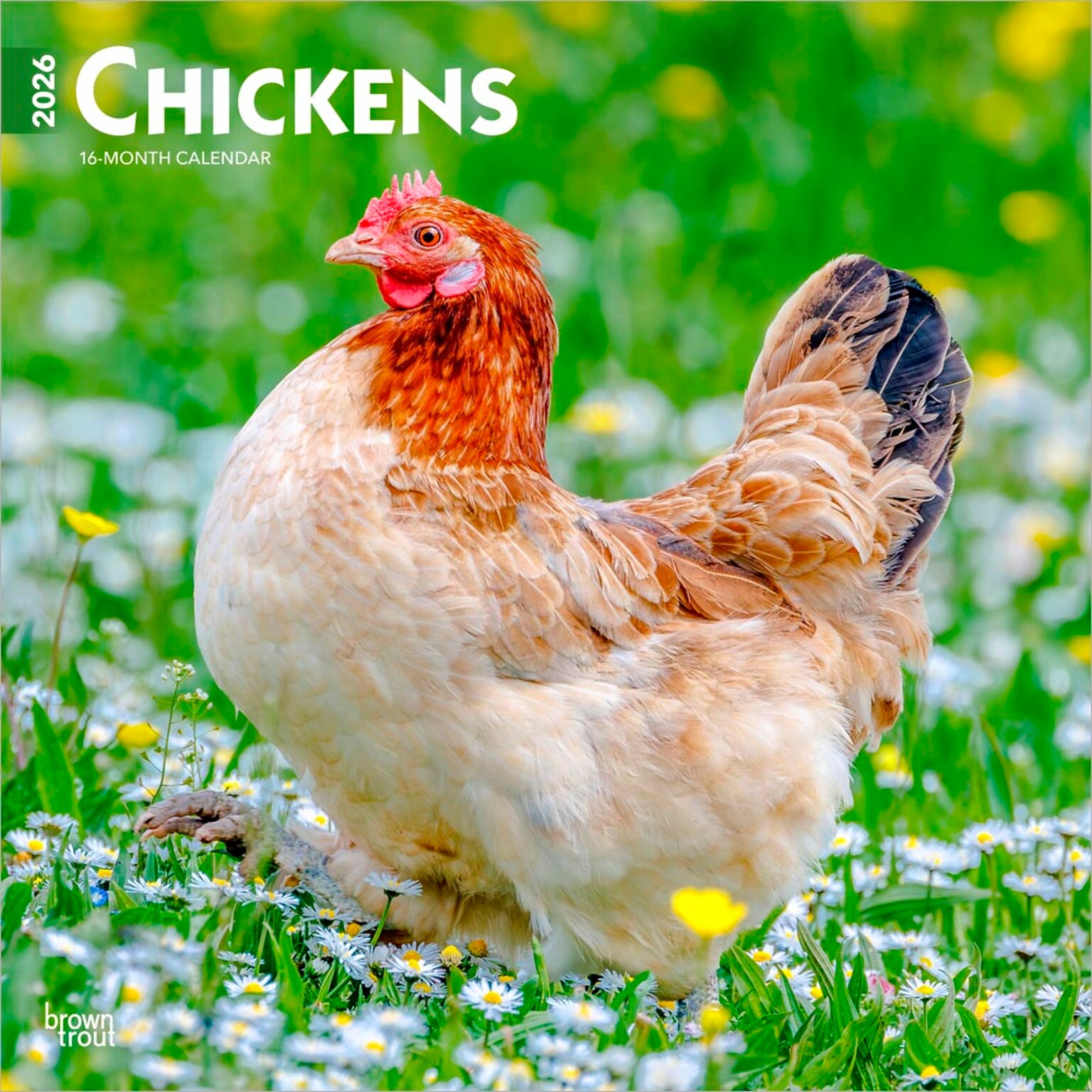 2026 BrownTrout Chickens 12 x 12 Monthly Wall Calendar (9798330702909)