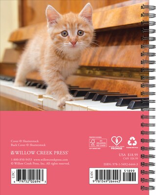 2027 Willow Creek What Cats Teach Us 6.5 x 8.5 Weekly & Monthly Desk Calendar (64443)