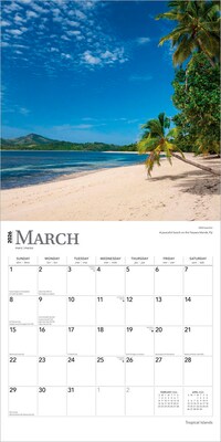 2026 BrownTrout Tropical Islands 12" x 12" Monthly Wall Calendar (9798330706006)