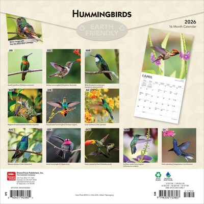 2026 BrownTrout Hummingbirds 12 x 12 Monthly Wall Calendar (9798330703807)
