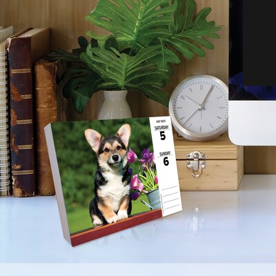 2025 Willow Creek Corgis (Dogs and Puppies) 6" x 5.5" Day-to-Day Calendar, Multicolor (40751)