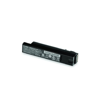 BTI BTRY-DS81EAB0E-00-BT Battery, Handheld