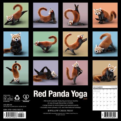 2026 Willow Creek Red Panda Yoga 12 x 12 Monthly Wall Calendar (56073)