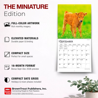 2027 BrownTrout Baby Moo Moos 7" x 7" Monthly Wall Calendar, Assorted Colors (9798330709779)