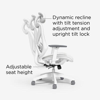 Staples Dexley Ergonomic Mesh Swivel Task Chair, Gray (UN61365)