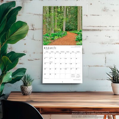 2026 BrownTrout Delaware Wild & Scenic 12" x 12" Monthly Wall Calendar (9798330703142)
