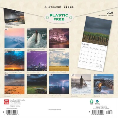 2025 BrownTrout A Perfect Storm 12 x 12 Monthly  Wall Calendar (9781975474416)