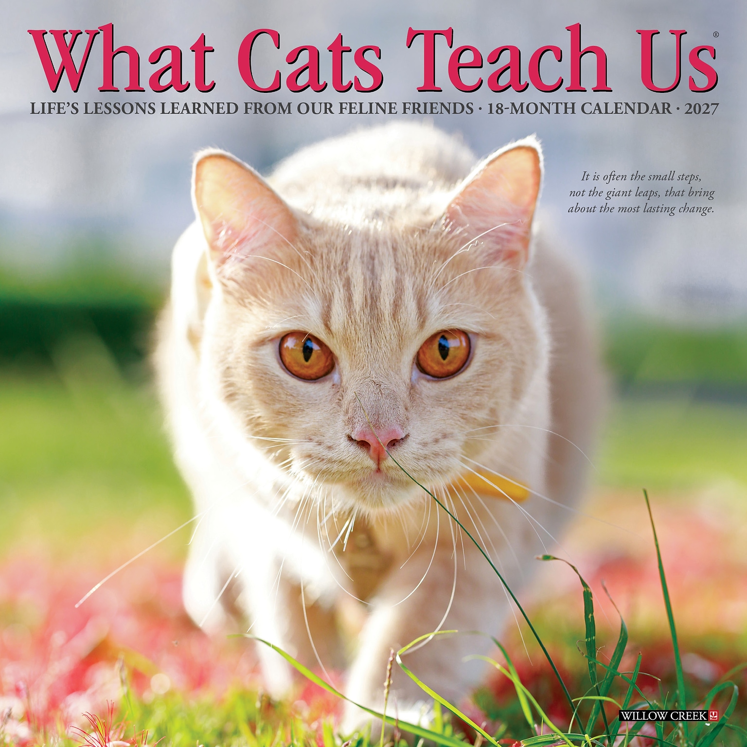 2027 Willow Creek What Cats Teach Us 7 x 7 Monthly Wall Calendar (64276)