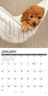 2027 Willow Creek Multi 12" x 12" Monthly Wall Calendar, Assorted Colors (61862)