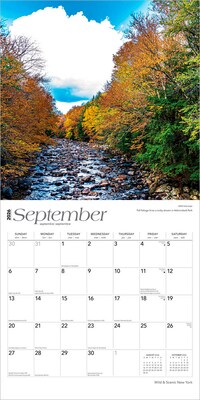 2026 BrownTrout New York Wild & Scenic 12" x 12" Monthly Wall Calendar (9798330704897)