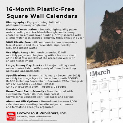 2025 BrownTrout Cairn Terriers 12" x 24" Monthly Square Wall Calendar, (9781975476779)