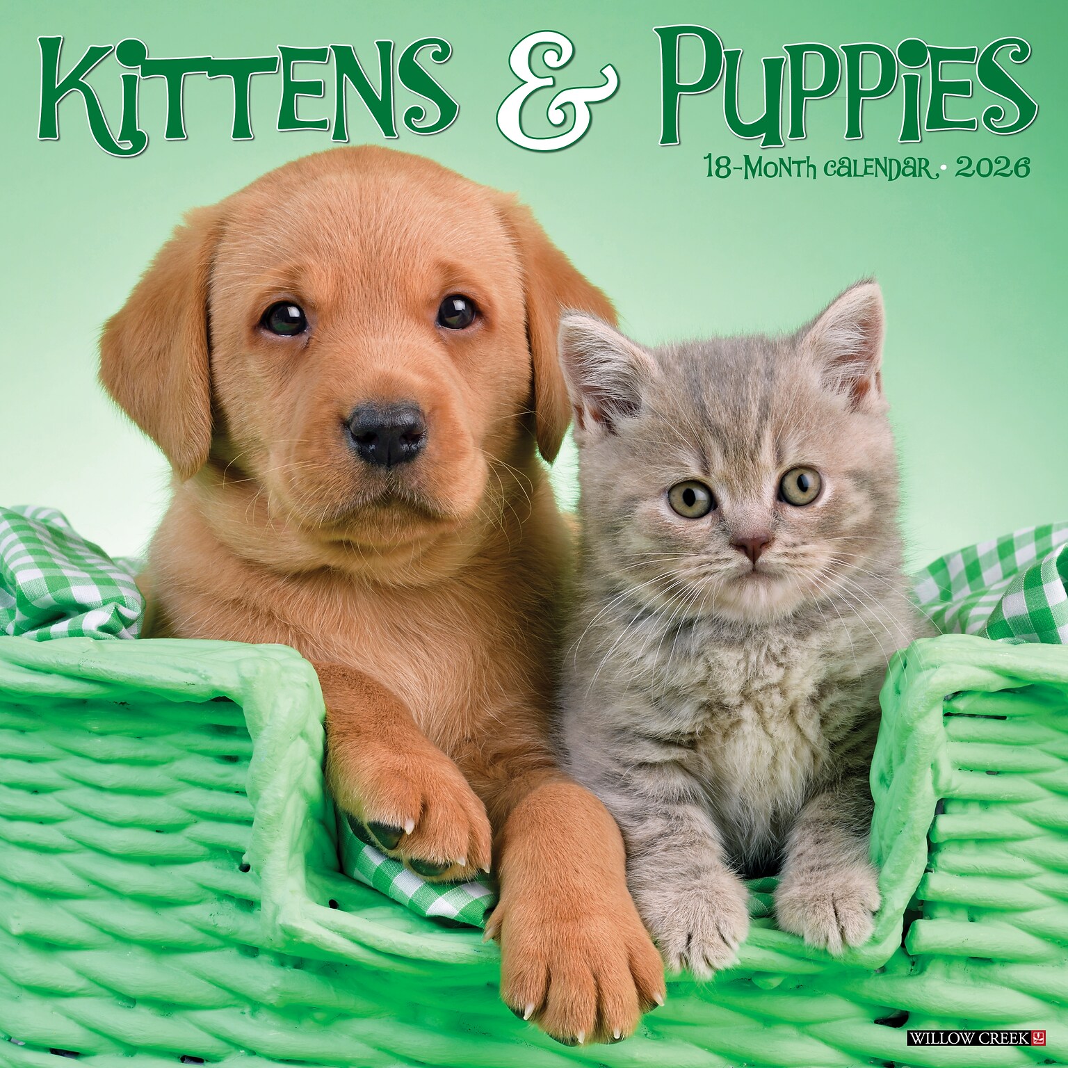 2026 Willow Creek Kittens & Puppies 12 x 12 Monthly Wall Calendar (51702X)